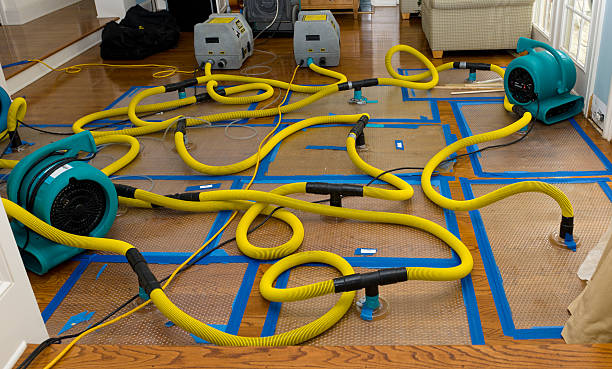 Professional Structural Drying And Dehumidification technician working in Thorndale, PA